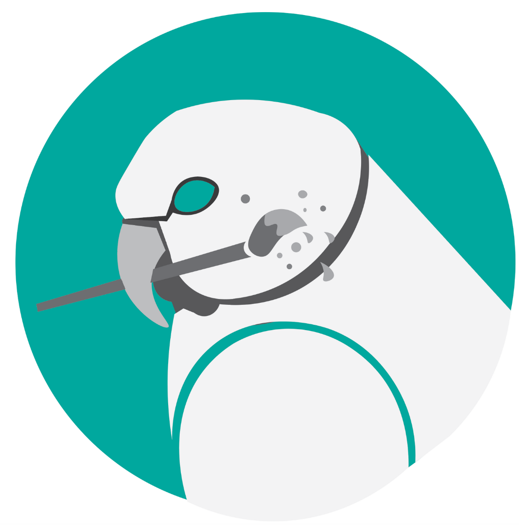parrot logo